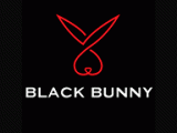 Black Bunny