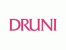 Druni