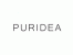Puridea