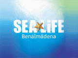 Sea Life